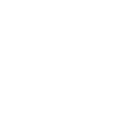 Eco Icon