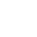 Shield Icon